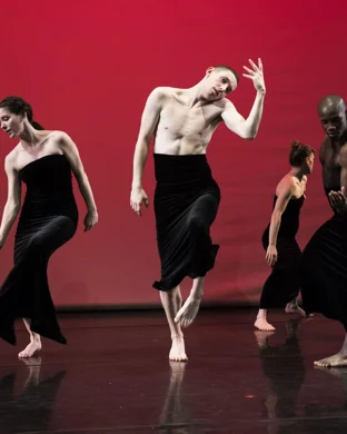 Momix: Botanica